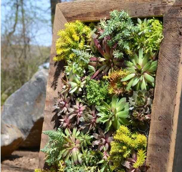 como construir un jardin vertical1