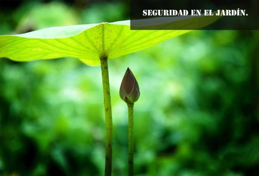 Seguridad en el jardín.