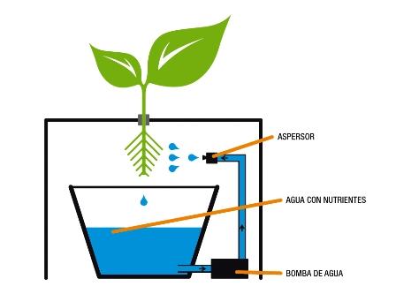 Sistema aeroponico
