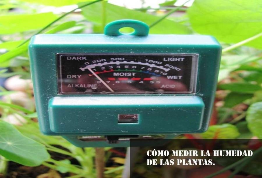 Cómo medir la humedad de las plantas.