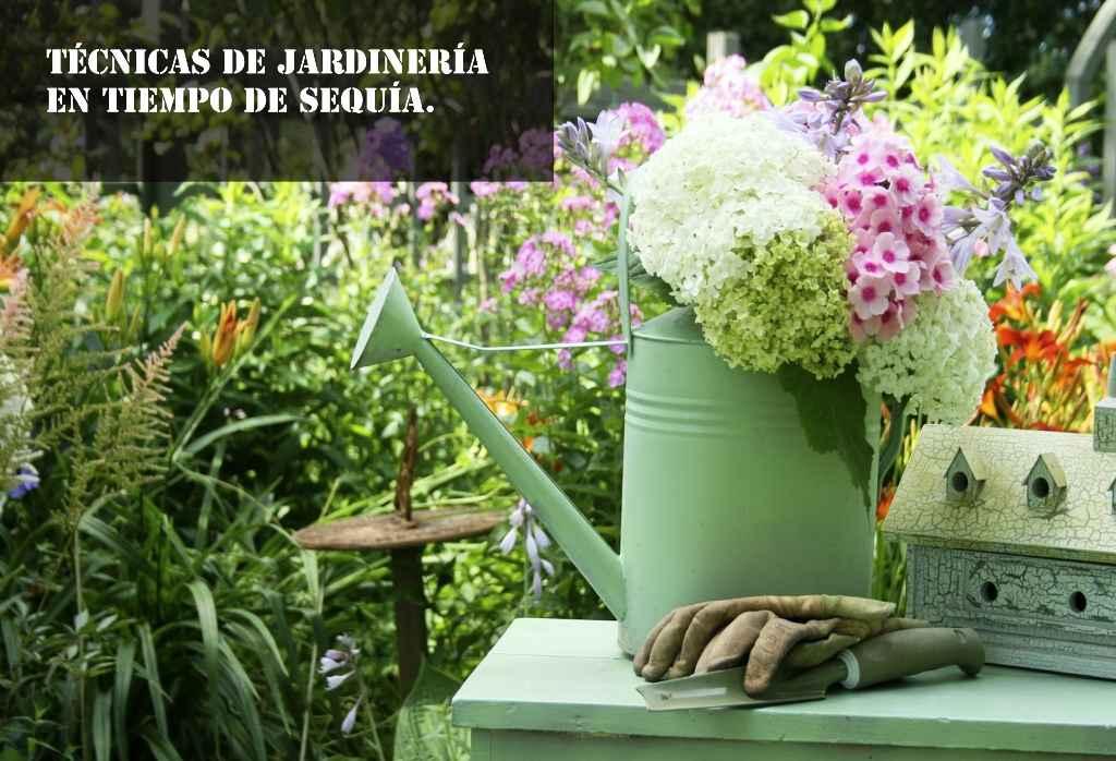 tecnicas de jardineria en tiempo de sequia