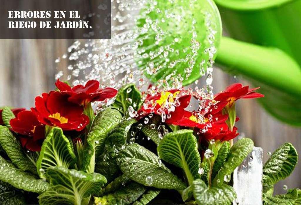 Errores en el riego de jardin