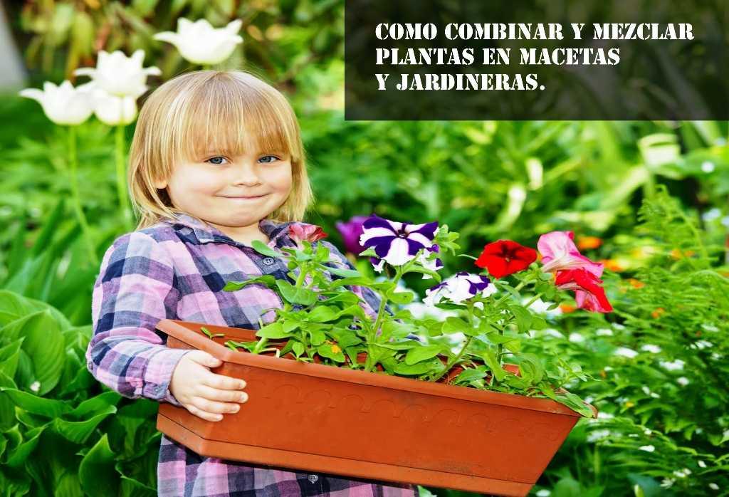 combinar flores en macetas