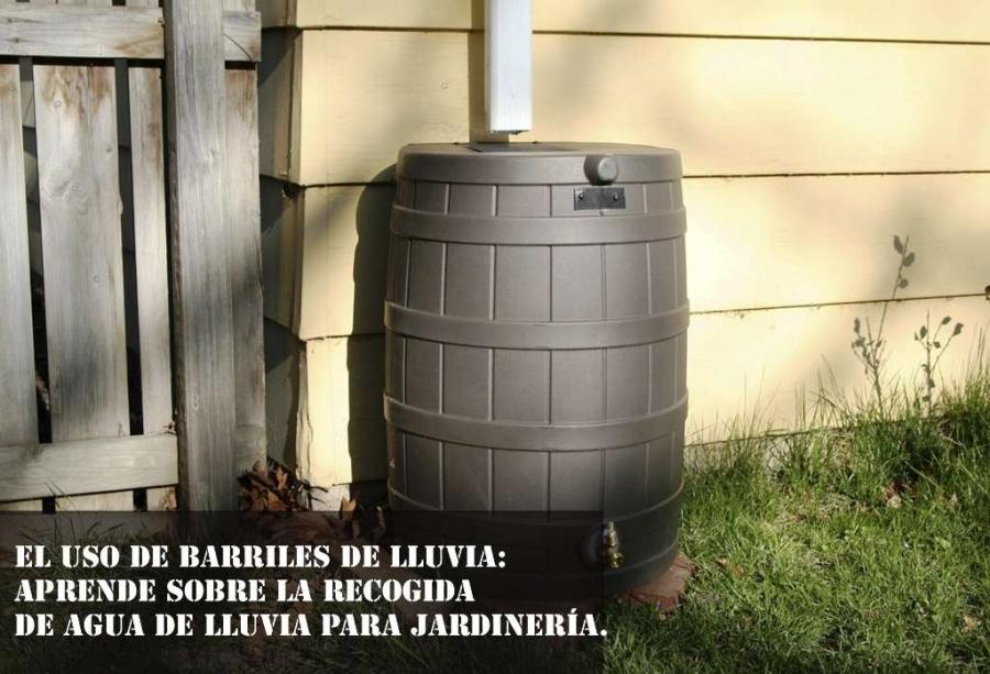 El uso de barriles de lluvia: Aprende sobre la recogida de agua de lluvia para Jardinería.