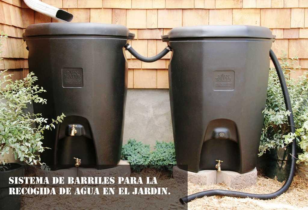 sistema de barriles para la recogida de agua