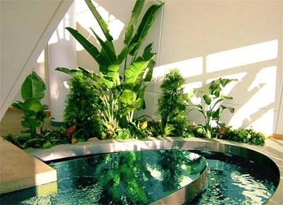 iluminacion plantas interior