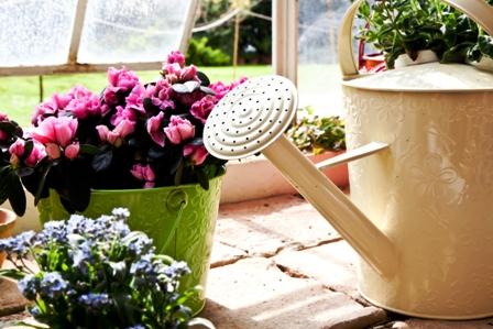 riego plantas interior