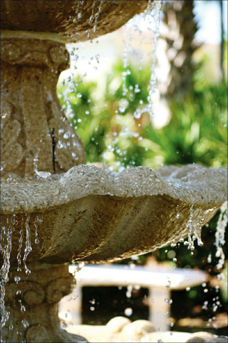 Relajacion con sonido fuente jardin