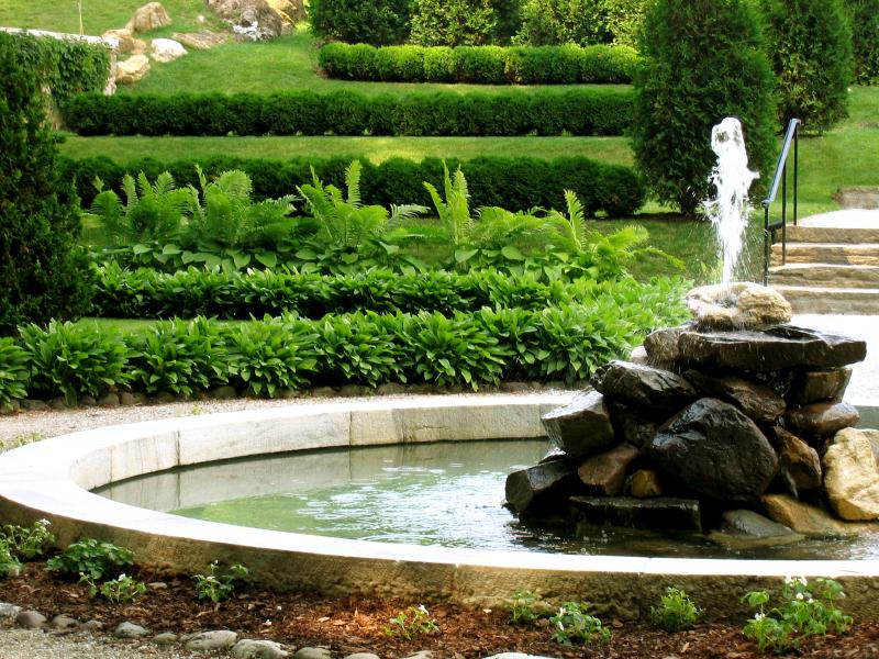 cambio de agua en el jardin