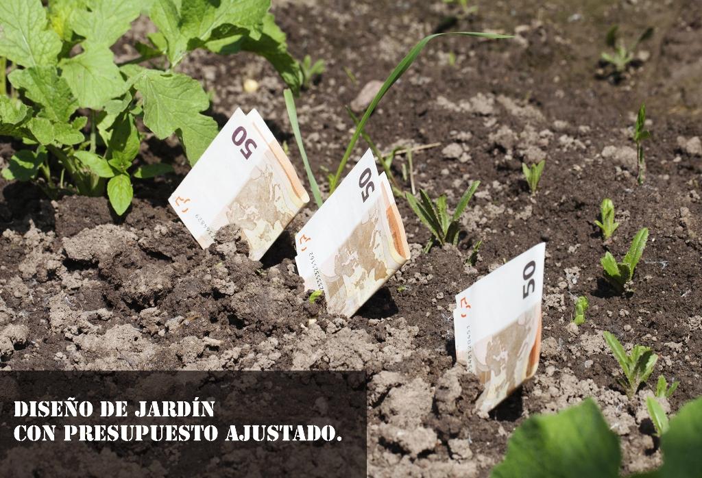 Diseño de jardín con presupuesto ajustado. | Plantas