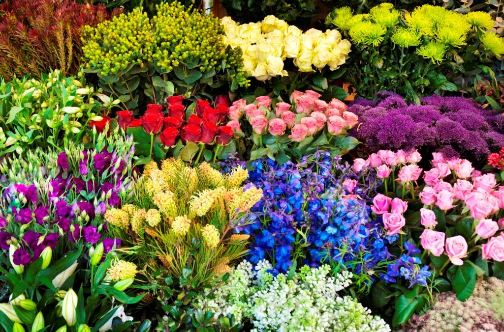 Elige el tema perfecto para el diseño y la decoración de tu jardín