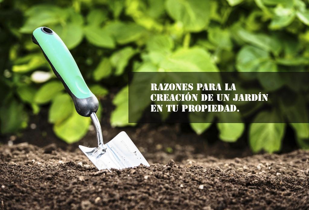 razones para la creacion de un jardin