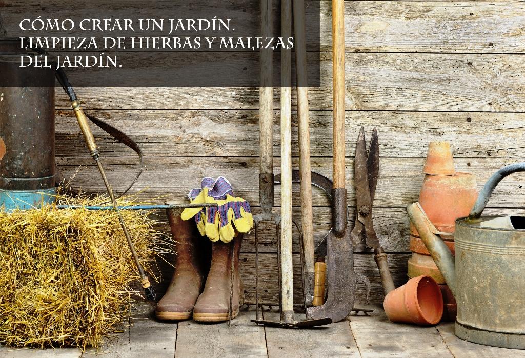 limpieza de hierbas del jardin