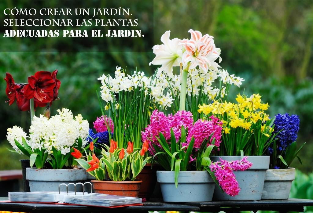 seleccionar las plantas adecuadas para el jardin