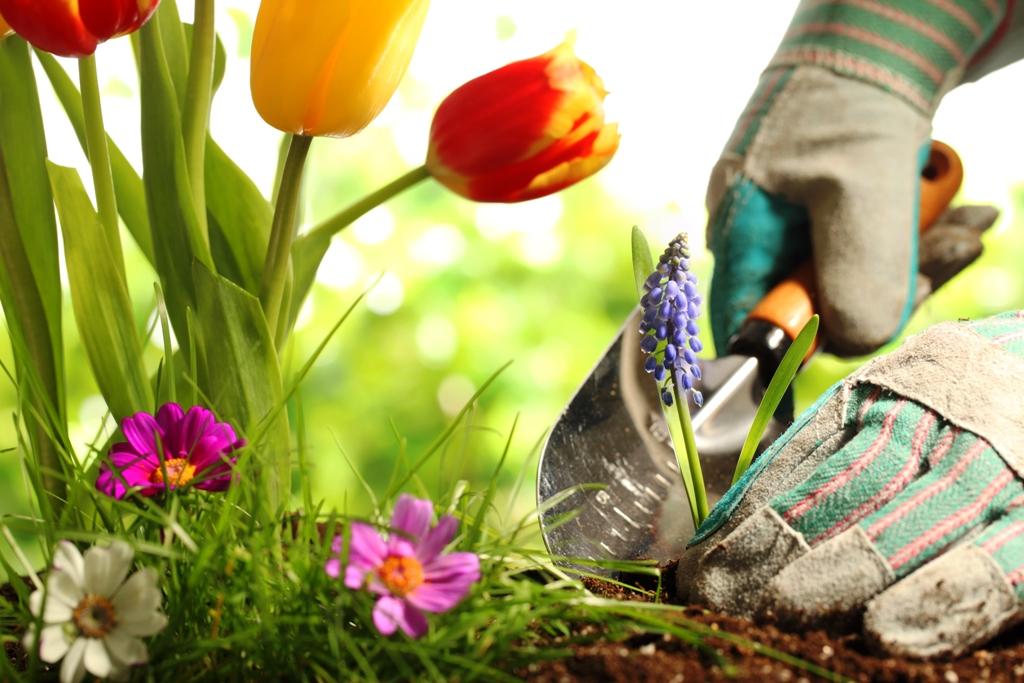 preparacion suelo de jardin