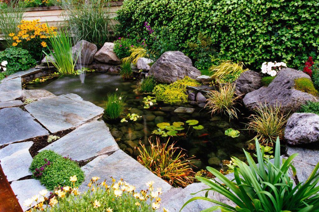 estanque jardin