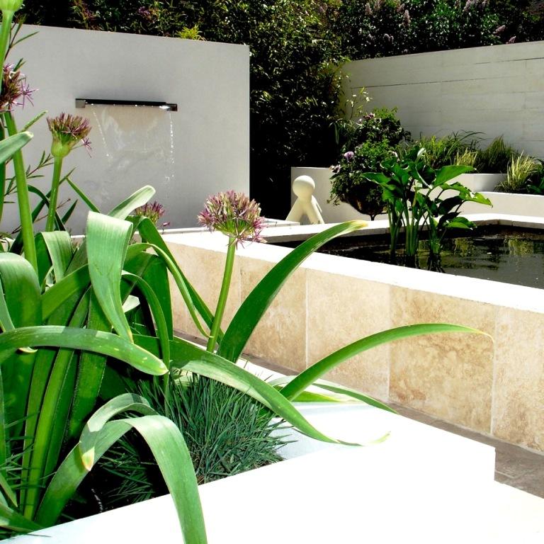 uso de plantas en el patio