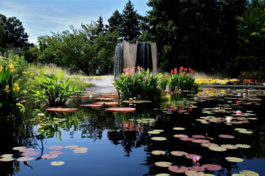Jardín de agua y conservación de la misma.