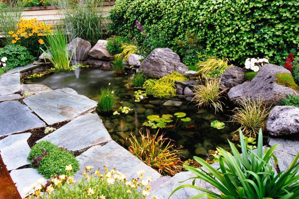 construir estanque de jardin