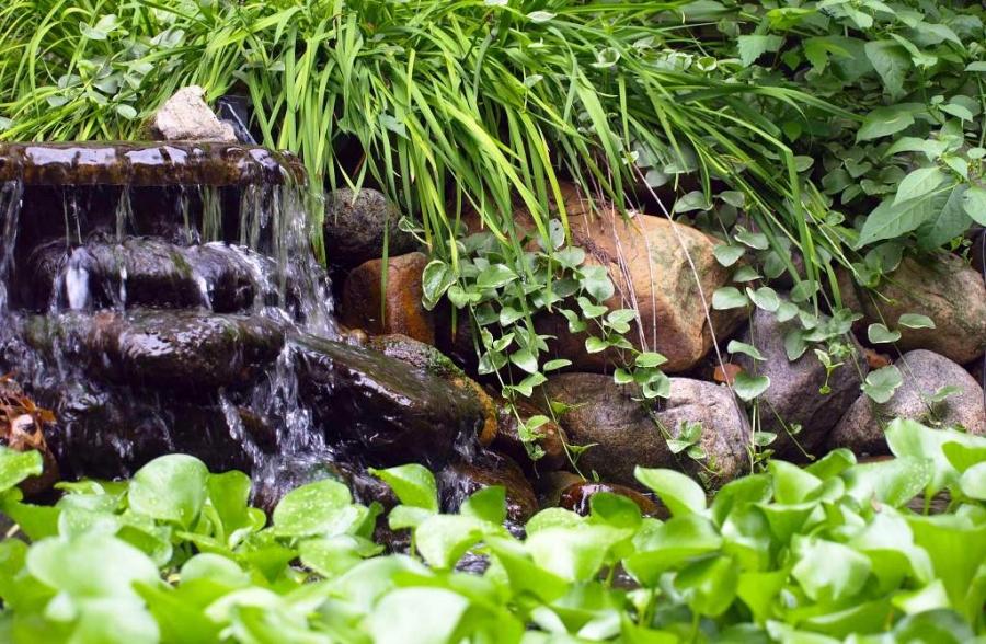 Mantener y mejorar la calidad del agua en fuentes y estanques de jardín.