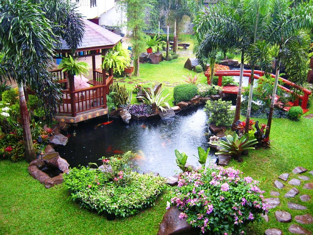 estanque de jardin saludable