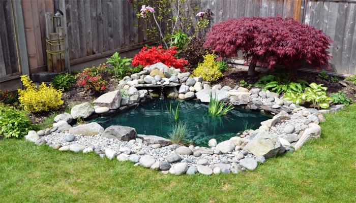 Estanque en el jardin