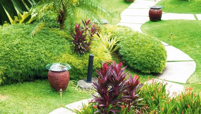 Camino serpenteante de jardin