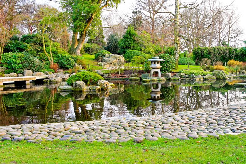 Decoración de jardín con rocas | Plantas