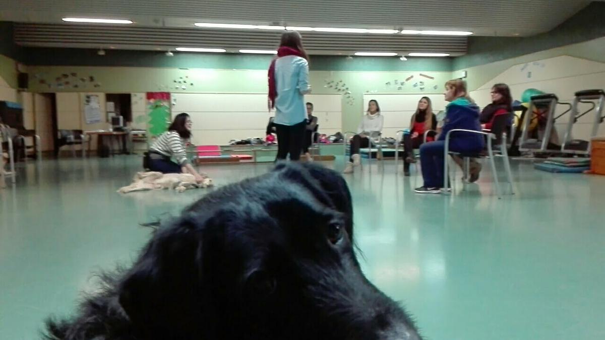 Sasha en sesión de terapia