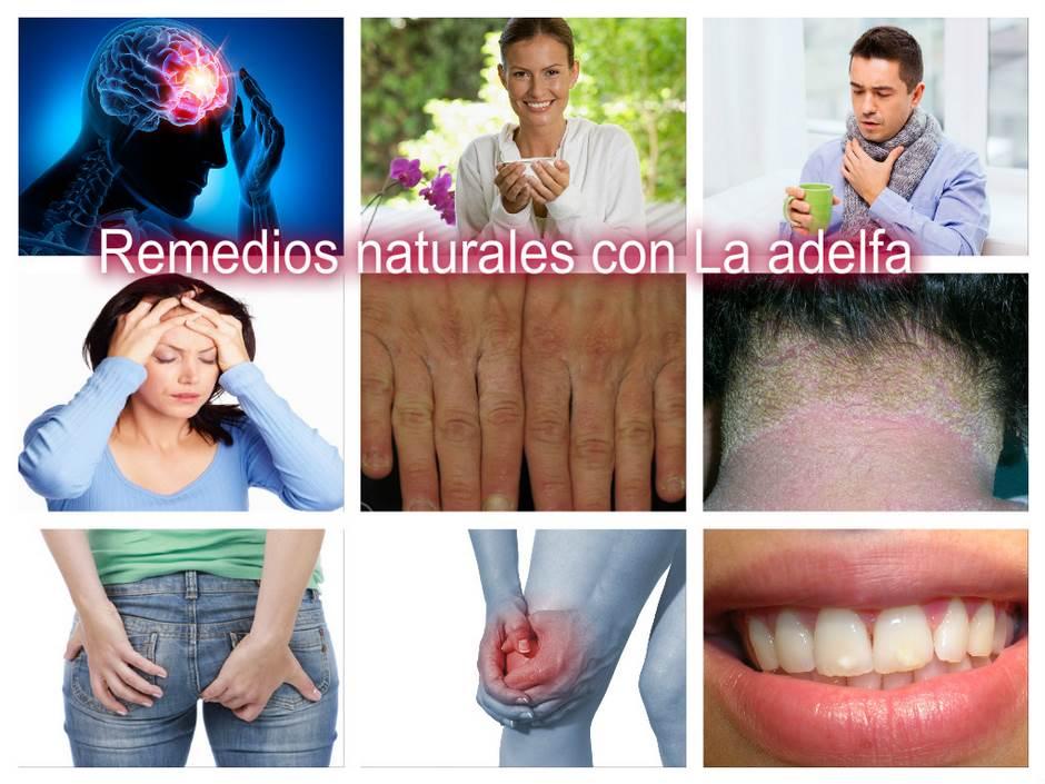 111_Collage_Adelfa (Copiar)