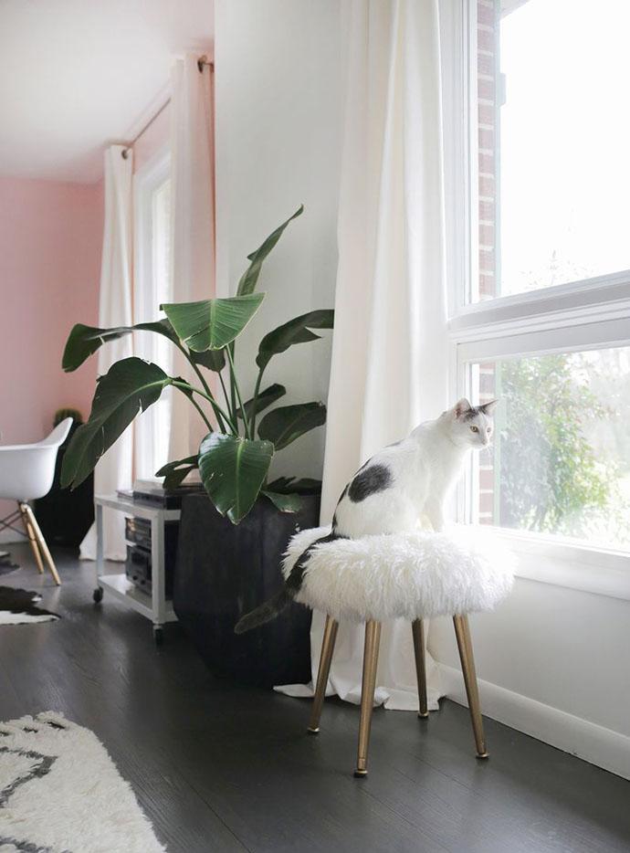 como hacer un taburete foto gato