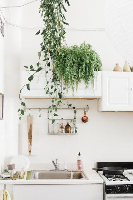 color-en-la-cocina-con- plantas