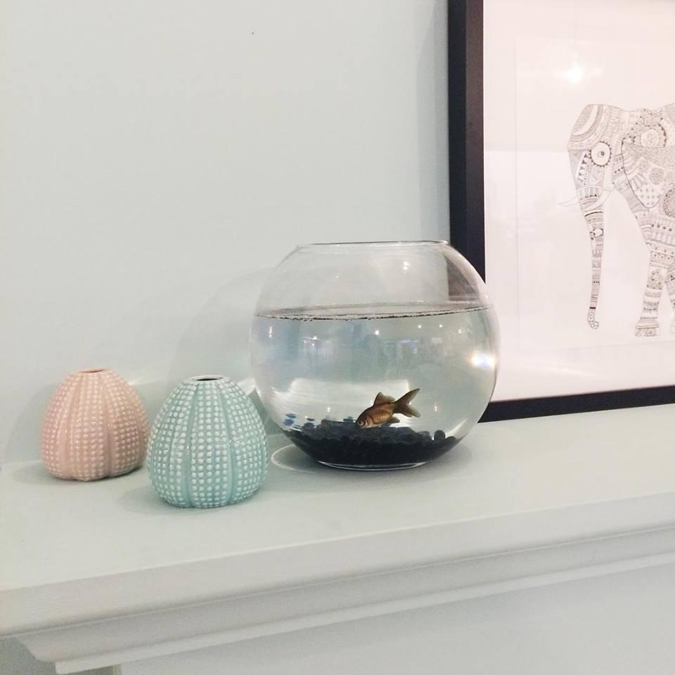 pistacho-maow-design-shop-en-love-it-sara