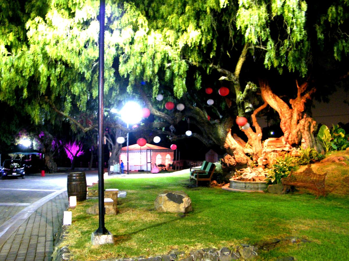 Otro rincón mágico de la sede