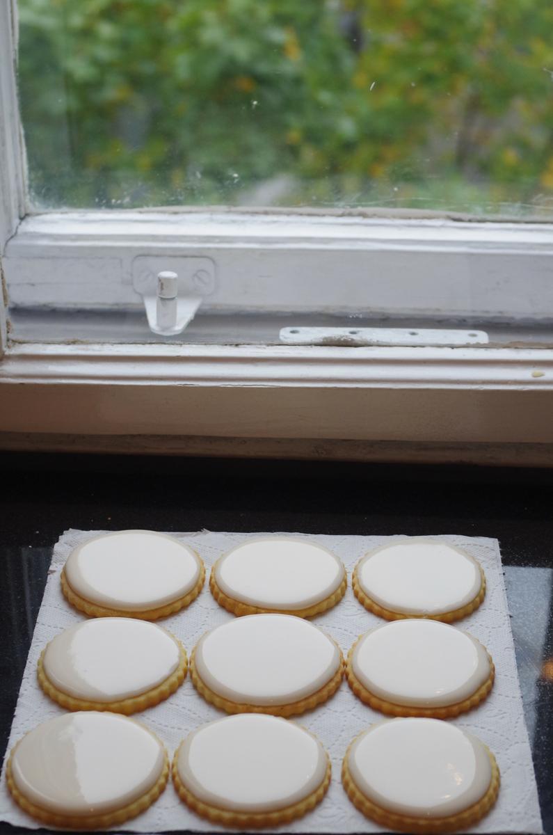 doctorcookies dinosaur cookies (2).JPG