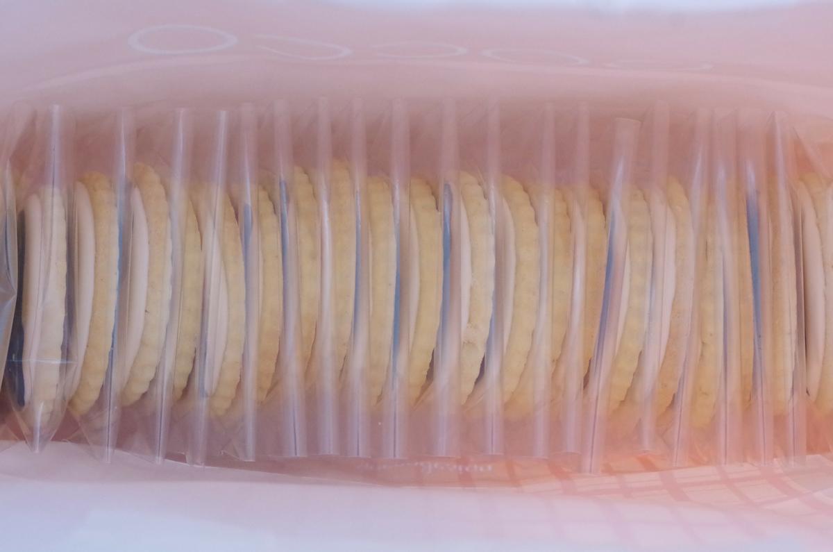 doctorcookies dinosaur cookies (20)