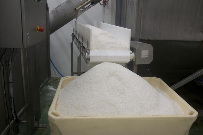 todo lo que debes saber sobre el bacalao