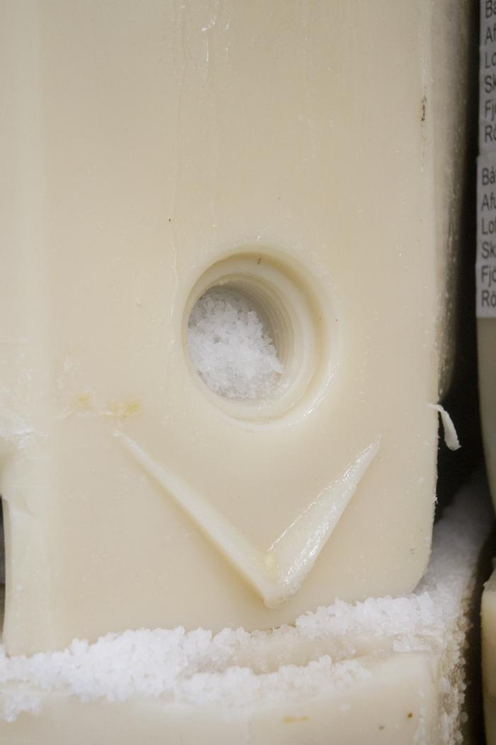 todo lo que debes saber sobre el bacalao