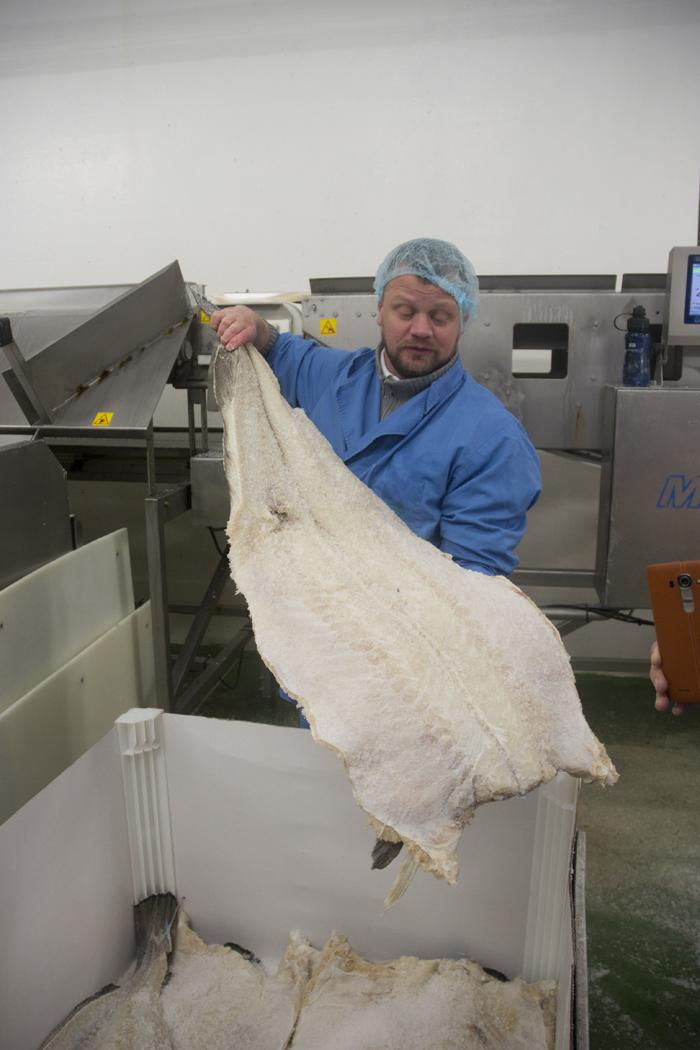 todo lo que debes saber sobre el bacalao