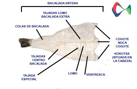 partes_bacalao