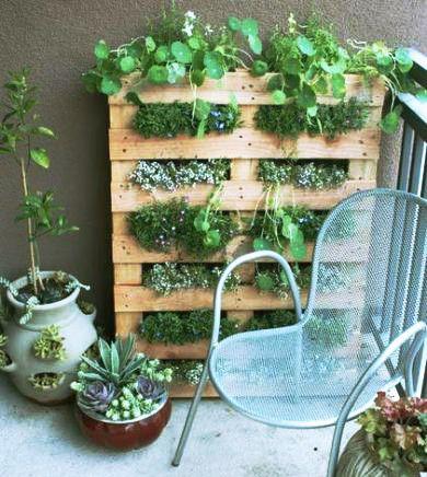 44ca95098f9094e2448d416220efddd4