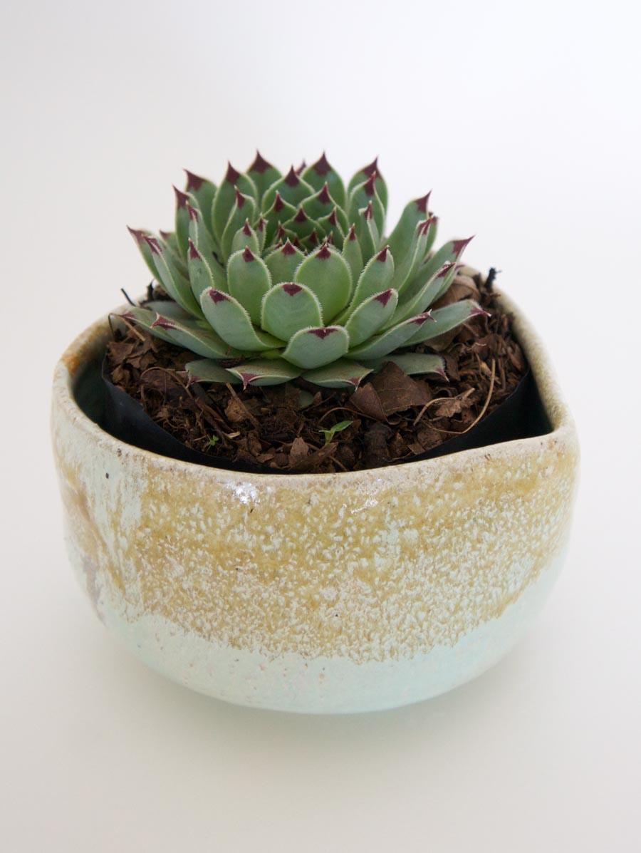 jarron ceramica en wolfrik tienda de diseño