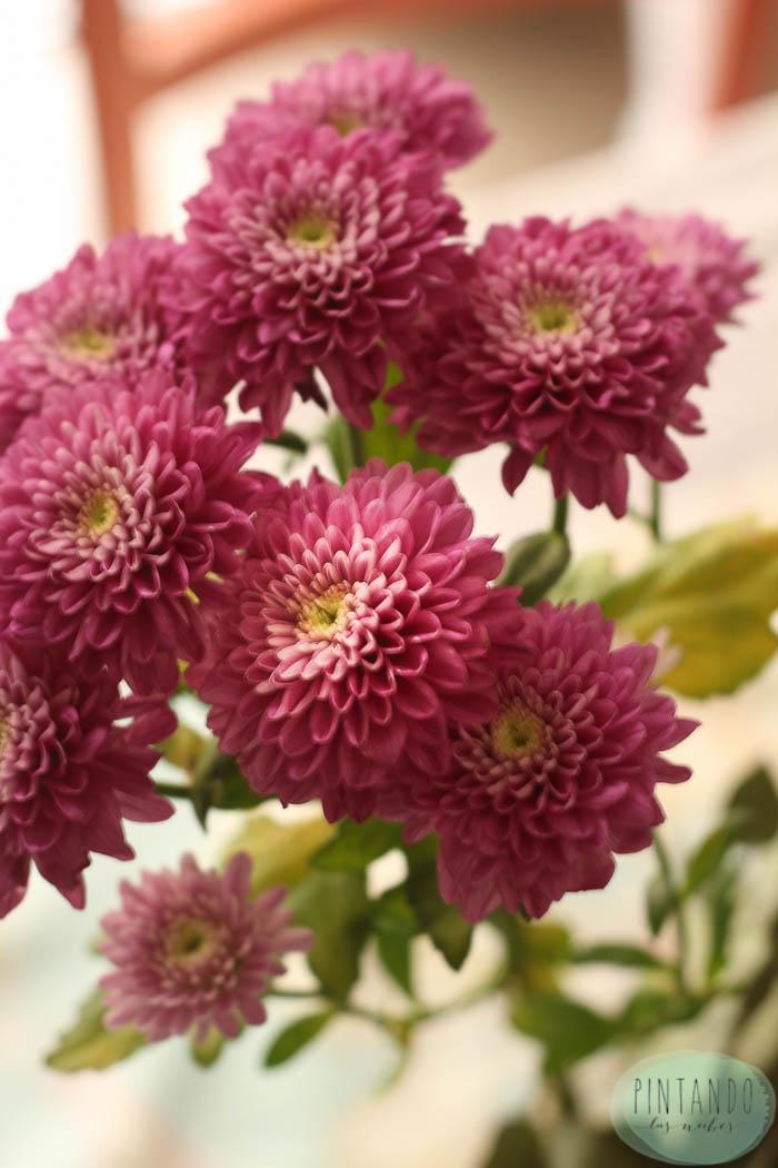 flores para un desayuno de domingo
