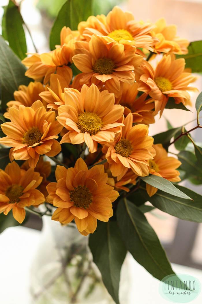 Margaritas color calabaza