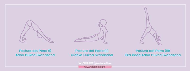 Variaciones de la postura del perro