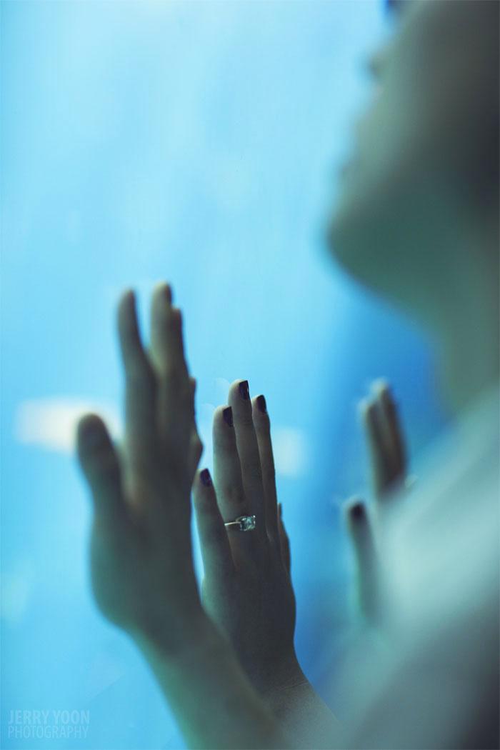 El Balcón de Alicia, lugares, celebración, boda, original, wedding, places, celebration, ice, hielo, palace, palacio, Let it go, Frozen, Canada, Winter, Winter Weddings, Bodas de Invierno, penthouse, azotea, rascacielo, rooftop, New York City, loft, aquarium, water weddings, summer, acuario, sirena, mermaid