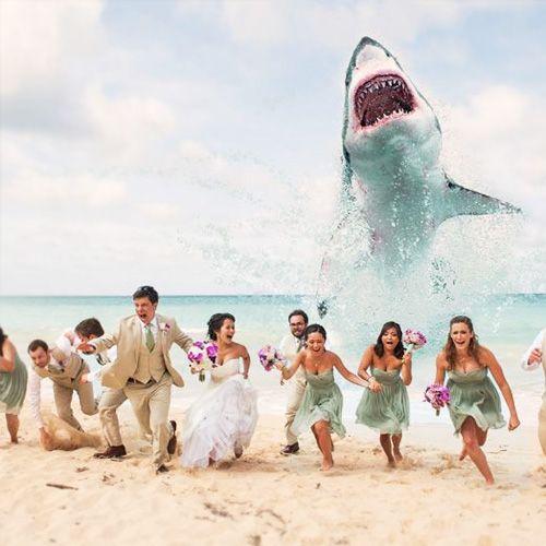 El Balcón de Alicia, lugares, celebración, boda, original, wedding, places, celebration, ice, hielo, palace, palacio, Let it go, Frozen, Canada, Winter, Winter Weddings, Bodas de Invierno, penthouse, azotea, rascacielo, rooftop, New York City, loft, aquarium, water weddings, summer, acuario, sirena, mermaid