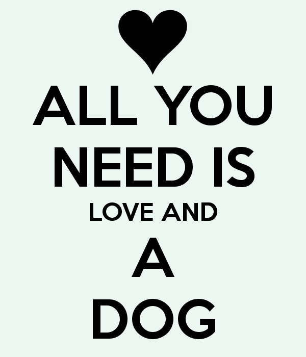 perro y amor