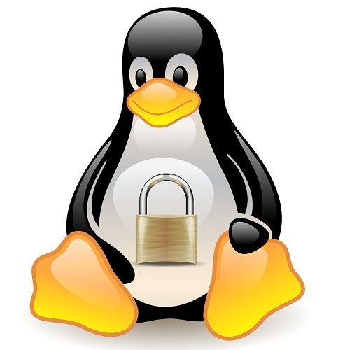 La seguridad es importante para configurar Servidor Linux