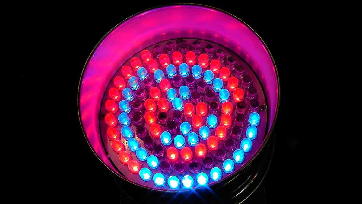 Porque Se Quedan Las Bombillas Led Encendidas Bombillas LED, ¿cómo elegir la mejor? | Bricolaje